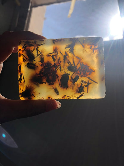 Lavender & Rosemary Soap